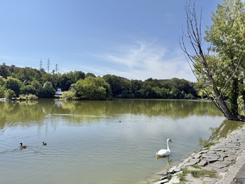 Okolí domu - Prodej bytu 3+1 v osobním vlastnictví 73 m², Praha 10 - Záběhlice
