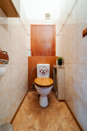 Prodej bytu 3+1 v osobním vlastnictví 66 m², Brno