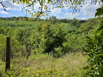 Prodej chaty / chalupy 71 m², Žarošice