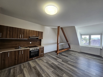 Pronájem bytu 1+kk v osobním vlastnictví 25 m², Havířov