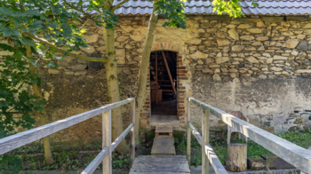 Prodej ubytovacího zařízení 467 m², Dolní Podluží