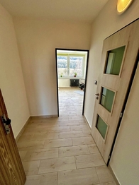 Pronájem bytu 1+1 v družstevním vlastnictví 33 m², Teplice