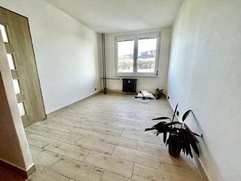 Pronájem bytu 1+1 v družstevním vlastnictví 33 m², Teplice