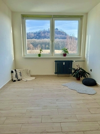 Pronájem bytu 1+1 v družstevním vlastnictví 33 m², Teplice