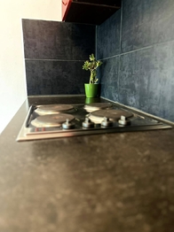 Pronájem bytu 1+1 v družstevním vlastnictví 33 m², Teplice