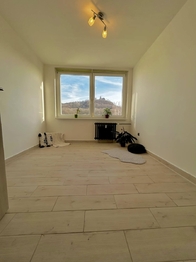 Pronájem bytu 1+1 v družstevním vlastnictví 33 m², Teplice