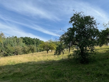 Prodej pozemku 10089 m², Kněžmost