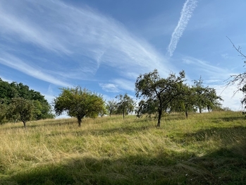 Prodej pozemku 10089 m², Kněžmost