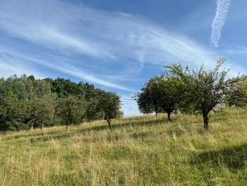 Prodej pozemku 10089 m², Kněžmost