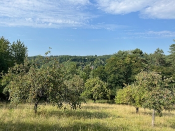 Prodej pozemku 10089 m², Kněžmost