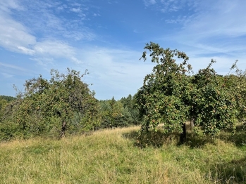 Prodej pozemku 10089 m², Kněžmost