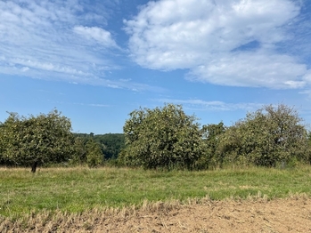 Prodej pozemku 10089 m², Kněžmost