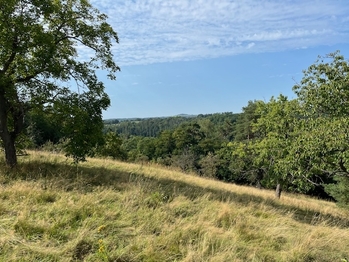 Prodej pozemku 10089 m², Kněžmost