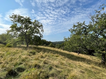 Prodej pozemku 10089 m², Kněžmost