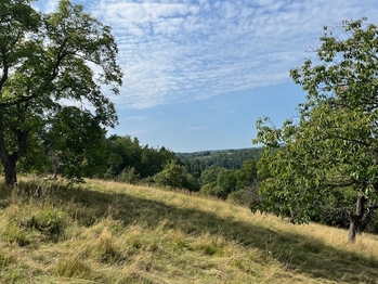 Prodej pozemku 10089 m², Kněžmost