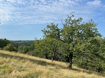 Prodej pozemku 10089 m², Kněžmost