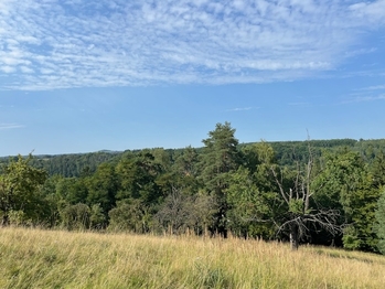 Prodej pozemku 10089 m², Kněžmost