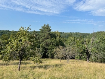 Prodej pozemku 10089 m², Kněžmost