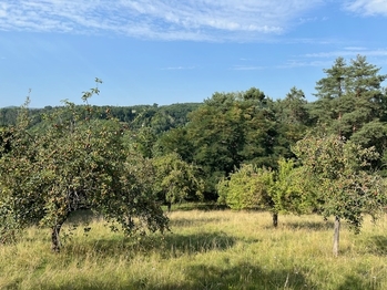 Prodej pozemku 10089 m², Kněžmost