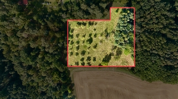 Prodej pozemku 10089 m², Kněžmost