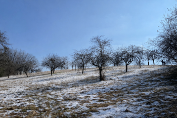 Prodej pozemku 10089 m², Kněžmost