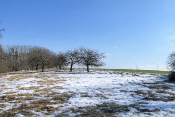 Prodej pozemku 10089 m², Kněžmost