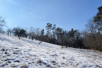 Prodej pozemku 10089 m², Kněžmost