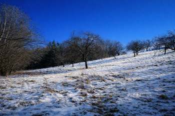 Prodej pozemku 10089 m², Kněžmost