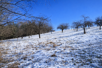 Prodej pozemku 10089 m², Kněžmost