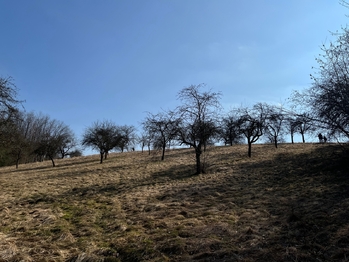 Prodej pozemku 10089 m², Kněžmost