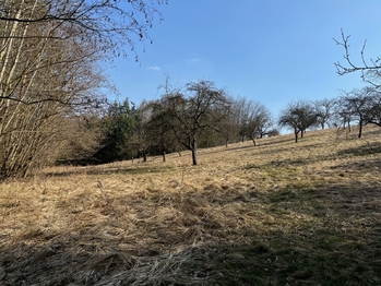 Prodej pozemku 10089 m², Kněžmost