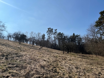 Prodej pozemku 10089 m², Kněžmost