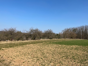 Prodej pozemku 10089 m², Kněžmost