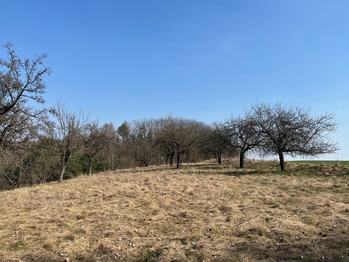 Prodej pozemku 10089 m², Kněžmost