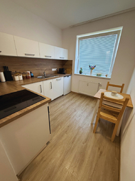 Pronájem bytu 1+1 v osobním vlastnictví 618 m², Rožnov pod Radhoštěm