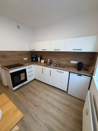 Pronájem bytu 1+1 v osobním vlastnictví 618 m², Rožnov pod Radhoštěm