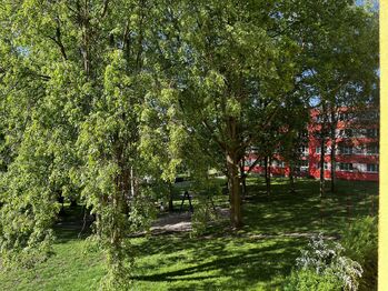 Pronájem bytu 2+1 v osobním vlastnictví 37 m², Kralovice