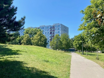 Zeleň v okolí - Prodej bytu 3+kk v osobním vlastnictví 63 m², Praha 10 - Horní Měcholupy