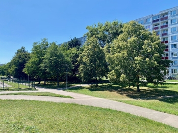 Zeleň v okolí - Prodej bytu 3+kk v osobním vlastnictví 63 m², Praha 10 - Horní Měcholupy