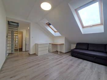 Pronájem bytu 1+1 v osobním vlastnictví 35 m², Praha 4 - Nusle