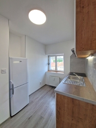 Pronájem bytu 1+1 v osobním vlastnictví 35 m², Praha 4 - Nusle