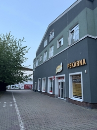 Pronájem bytu 1+kk v osobním vlastnictví 27 m², Plzeň
