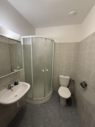 Pronájem bytu 1+kk v osobním vlastnictví 27 m², Plzeň