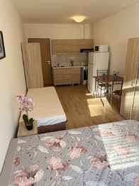 Pronájem bytu 1+kk v osobním vlastnictví 27 m², Plzeň