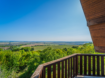 Prodej domu 494 m², Vinařice