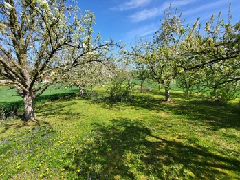 Prodej pozemku 1097 m², Vřesovice