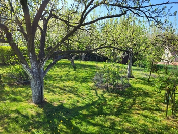 Prodej pozemku 1097 m², Vřesovice