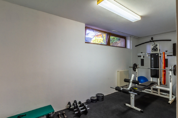 suterén - posilovna - Prodej domu 355 m², Brandýs nad Labem-Stará Boleslav