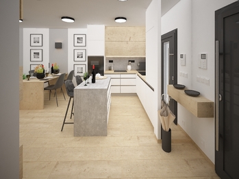 Kuchyně a obývací pokoj - Prodej domu 132 m², Vlasatice
