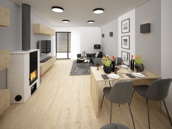 Kuchyně a obývací pokoj - Prodej domu 132 m², Vlasatice